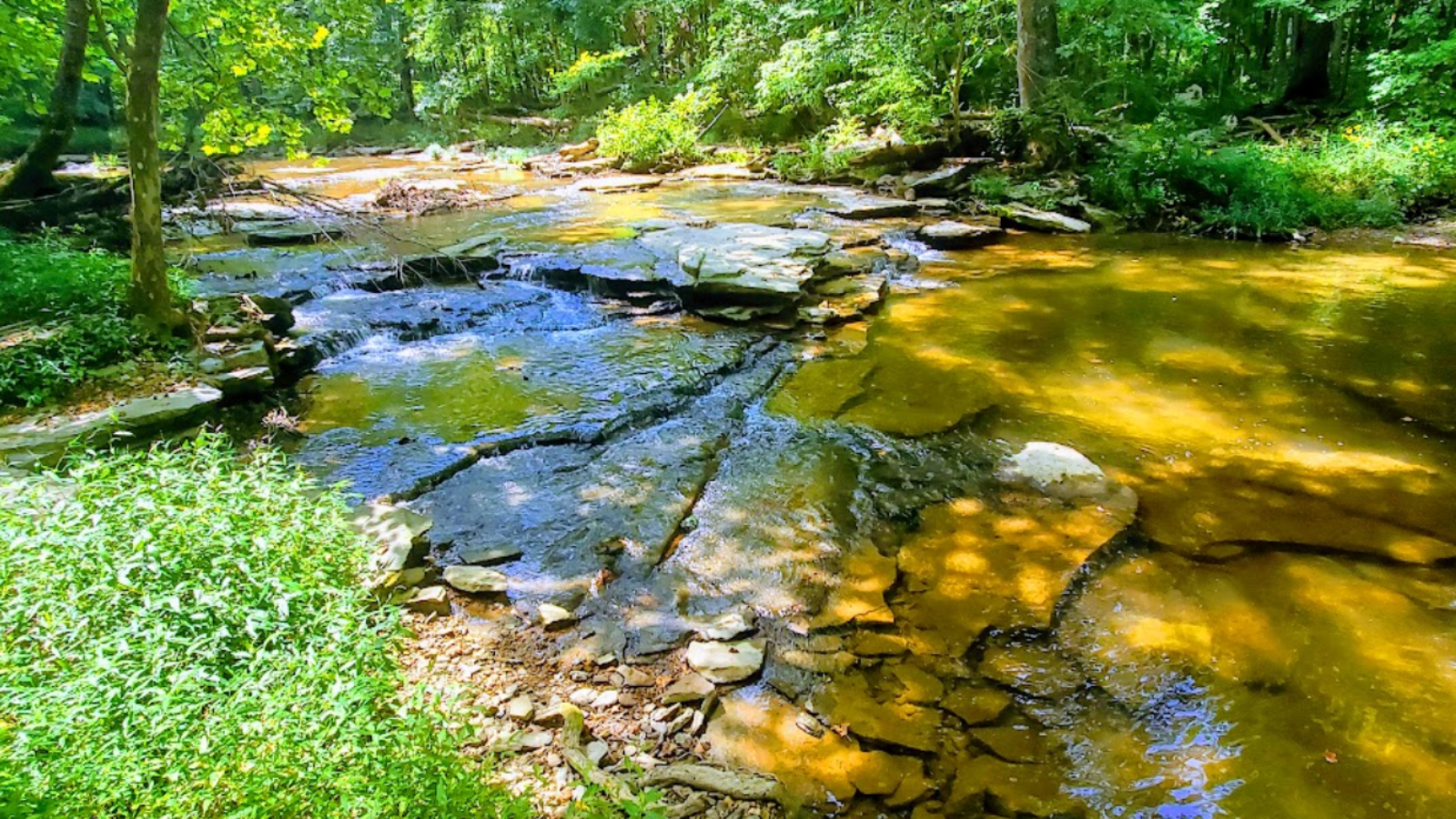 buckcreek