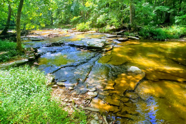 buckcreek