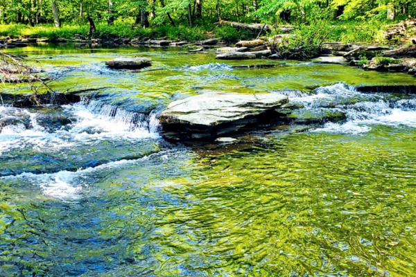 buckcreek7