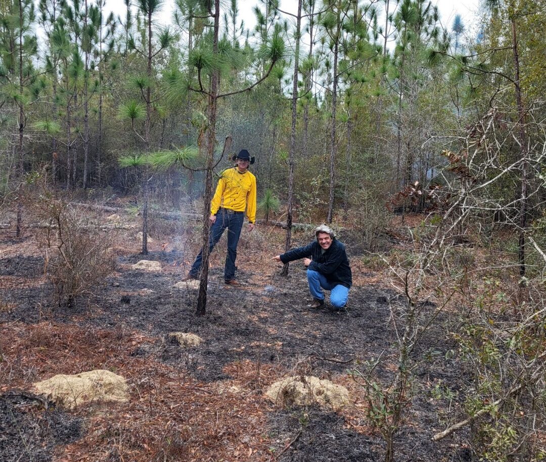 Two men in a burned pine forest; one in a yellow shirt stands while the other crouches, with smoke in the air.