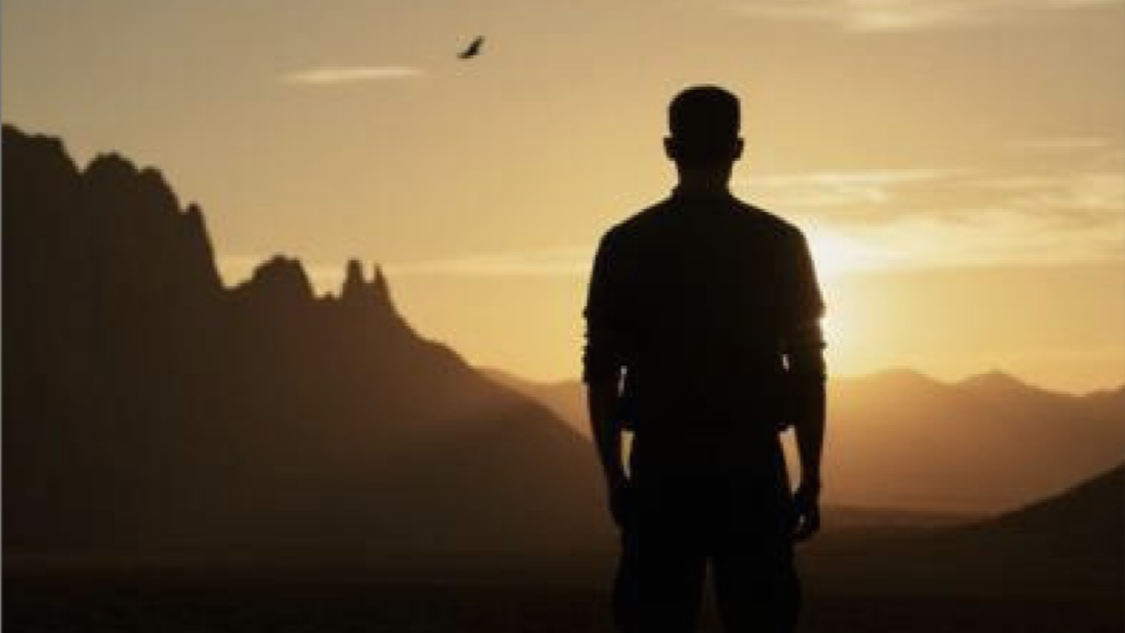 Silhouette of a man standing in a desert at sunset with rocky mountains in the distance.