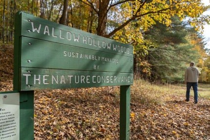 Green wooden sign in a forest reads: 'Wallow Hollow Woods – Sustainably Managed by The Nature Conservancy,' with fall leaves on the ground and a person in the background.